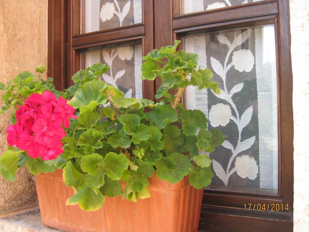 Hotel Rural Entremontes Cangas de Onis Exterior photo